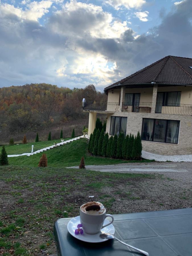 Hotel Pensiunea Medeea Pestis Zewnętrze zdjęcie