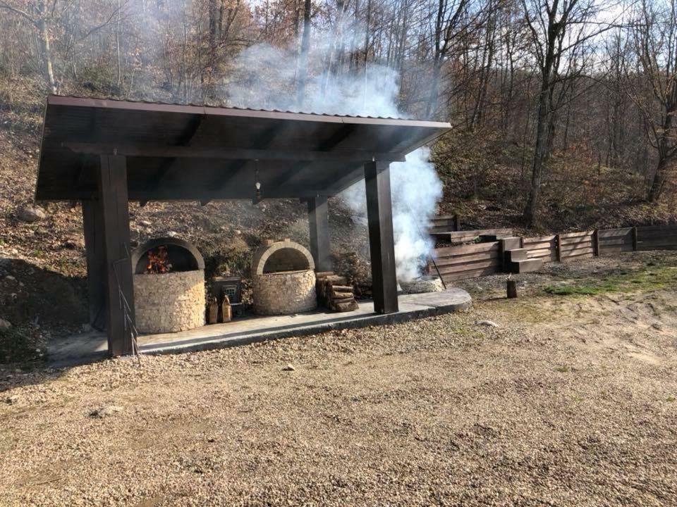 Hotel Pensiunea Medeea Pestis Zewnętrze zdjęcie
